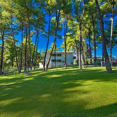 The White Villa At Sani Sani  Dış mekan fotoğraf